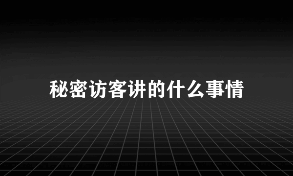 秘密访客讲的什么事情