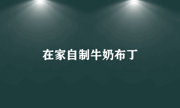 在家自制牛奶布丁