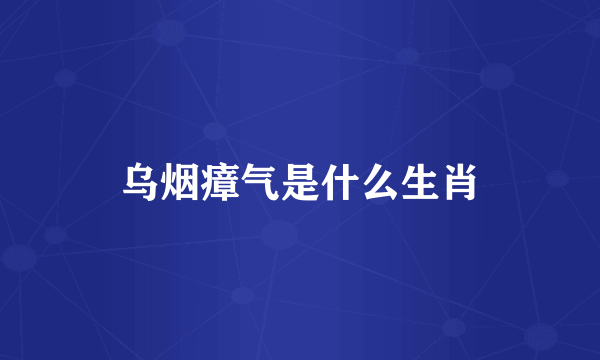 乌烟瘴气是什么生肖
