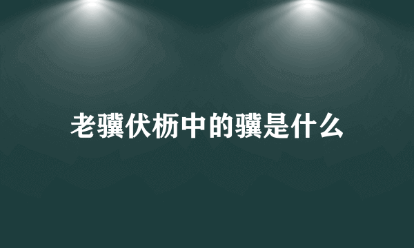 老骥伏枥中的骥是什么