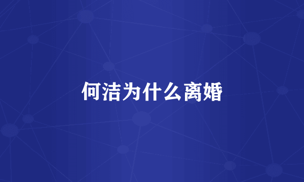 何洁为什么离婚