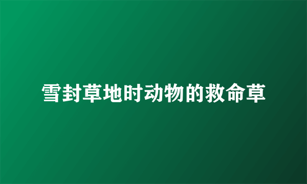 雪封草地时动物的救命草