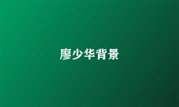 廖少华背景