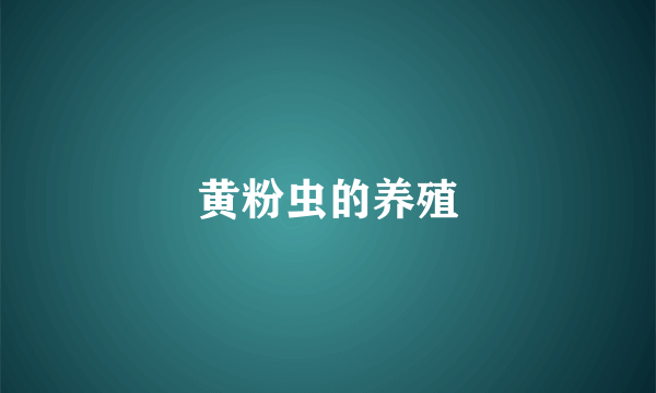 黄粉虫的养殖