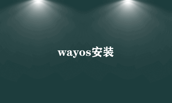wayos安装