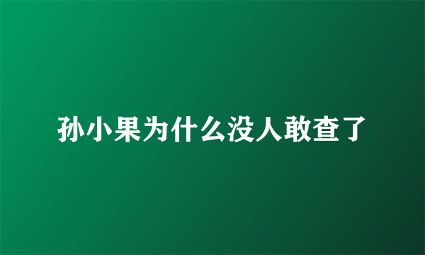 孙小果为什么没人敢查了