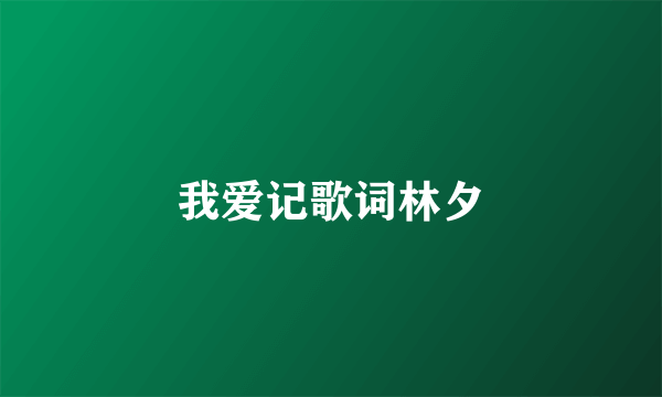 我爱记歌词林夕