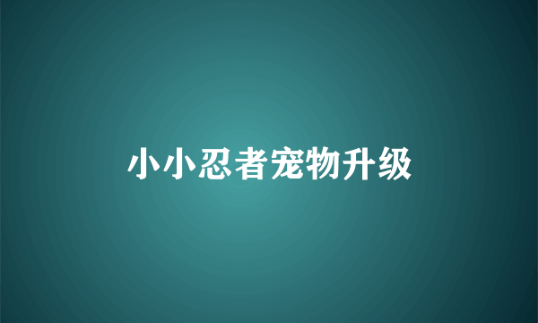 小小忍者宠物升级