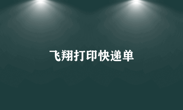 飞翔打印快递单