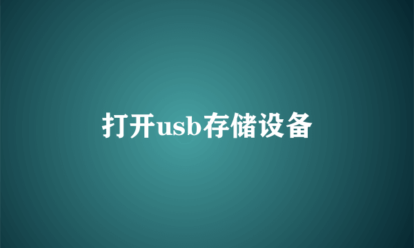打开usb存储设备