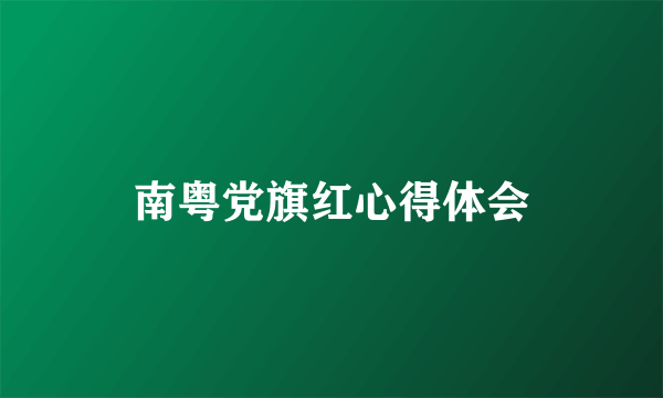 南粤党旗红心得体会