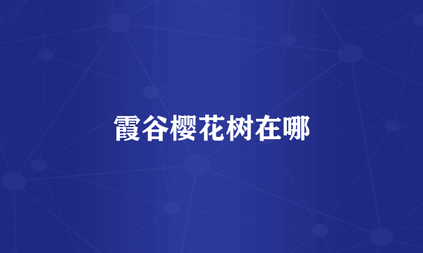 霞谷樱花树在哪