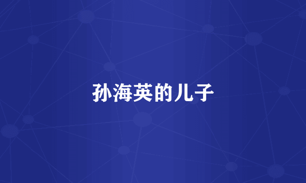 孙海英的儿子