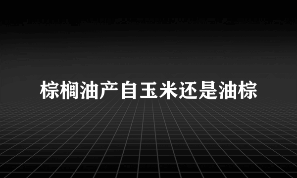 棕榈油产自玉米还是油棕