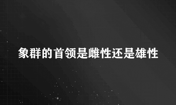 象群的首领是雌性还是雄性