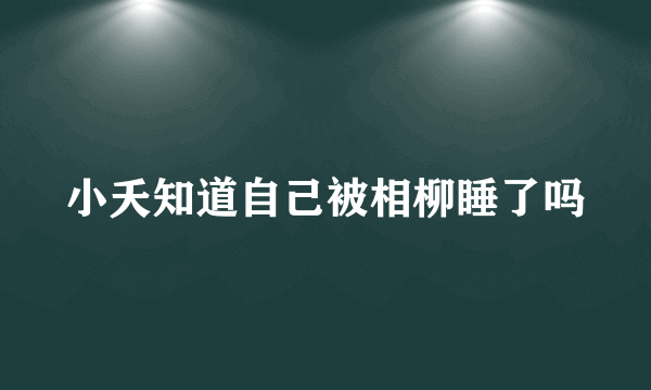 小夭知道自己被相柳睡了吗