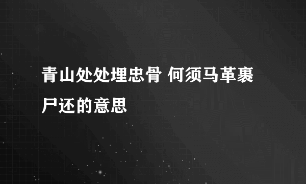 青山处处埋忠骨 何须马革裹尸还的意思