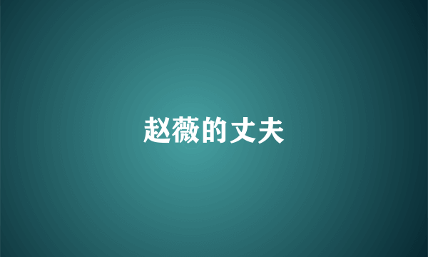 赵薇的丈夫