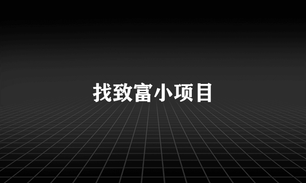 找致富小项目
