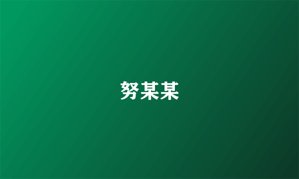 努某某