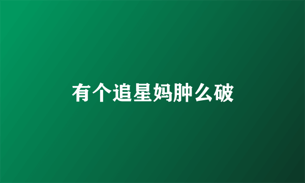 有个追星妈肿么破