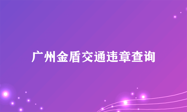 广州金盾交通违章查询
