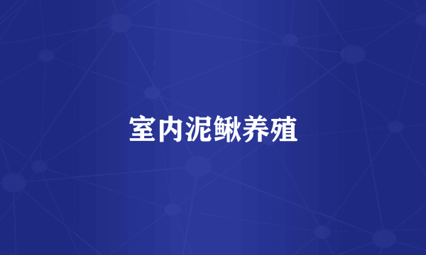 室内泥鳅养殖