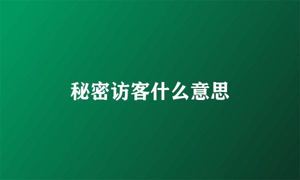 秘密访客什么意思