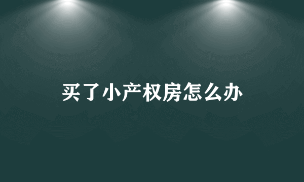 买了小产权房怎么办