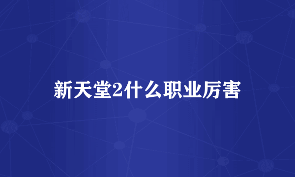 新天堂2什么职业厉害