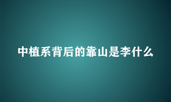 中植系背后的靠山是李什么