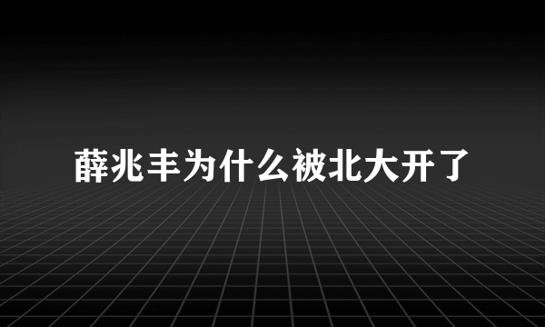 薛兆丰为什么被北大开了