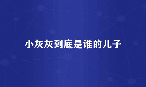 小灰灰到底是谁的儿子