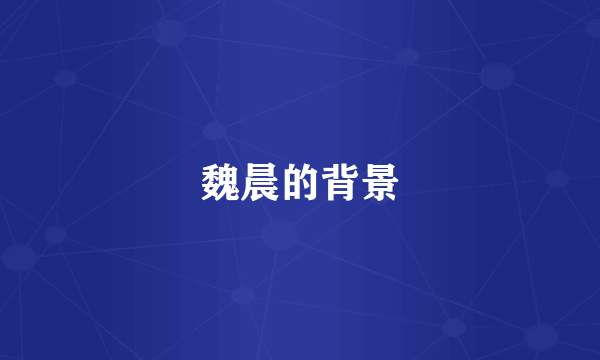 魏晨的背景
