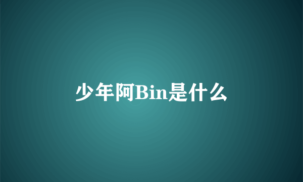 少年阿Bin是什么