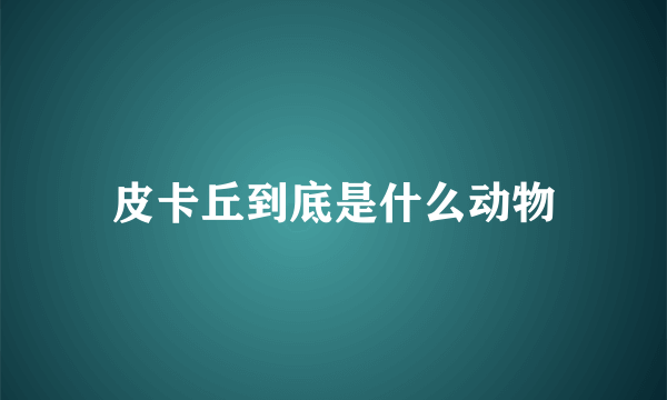 皮卡丘到底是什么动物