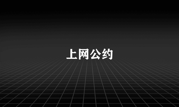 上网公约
