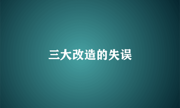 三大改造的失误