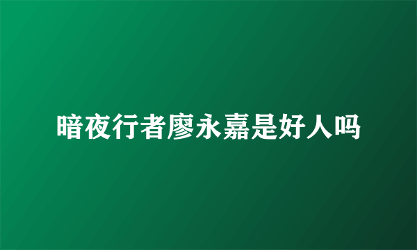 暗夜行者廖永嘉是好人吗