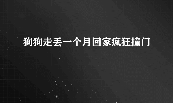 狗狗走丢一个月回家疯狂撞门