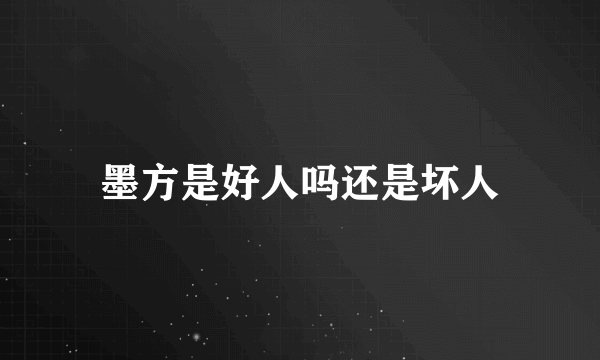 墨方是好人吗还是坏人