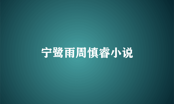 宁鹭雨周慎睿小说