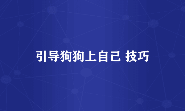 引导狗狗上自己 技巧