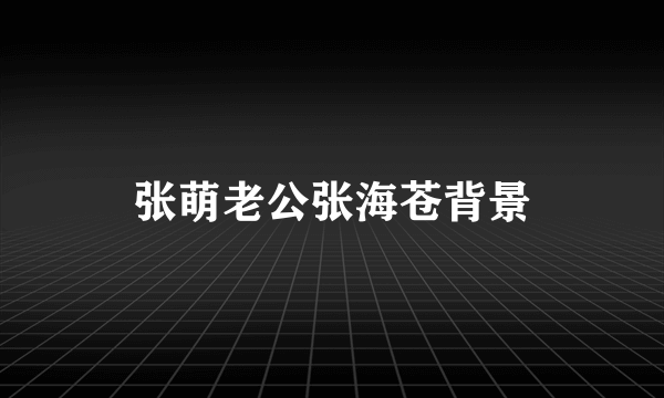 张萌老公张海苍背景