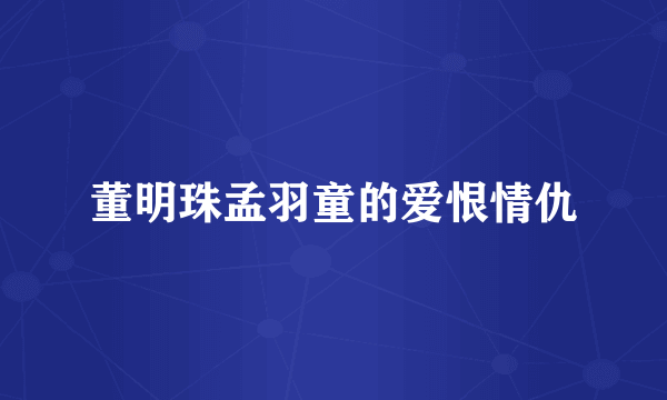 董明珠孟羽童的爱恨情仇
