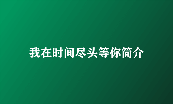 我在时间尽头等你简介