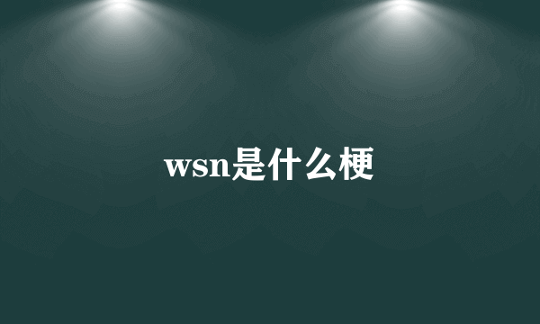 wsn是什么梗