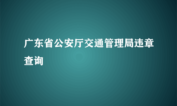广东省公安厅交通管理局违章查询