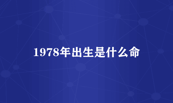 1978年出生是什么命