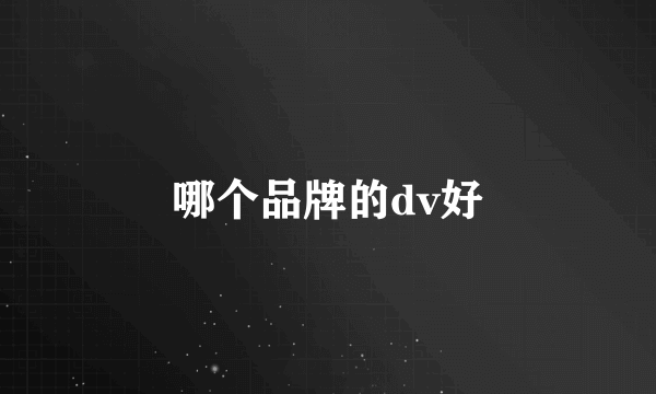 哪个品牌的dv好